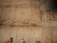 20120307137