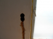 20120507187