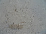 20120511221