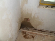 20120515224