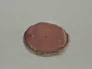 20121124135310_