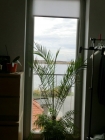 20121124173436_