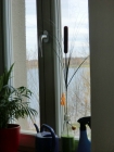 20121124173442_
