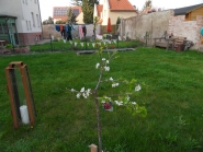 comp_2014040717011210