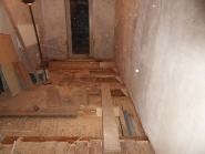 sdc11741